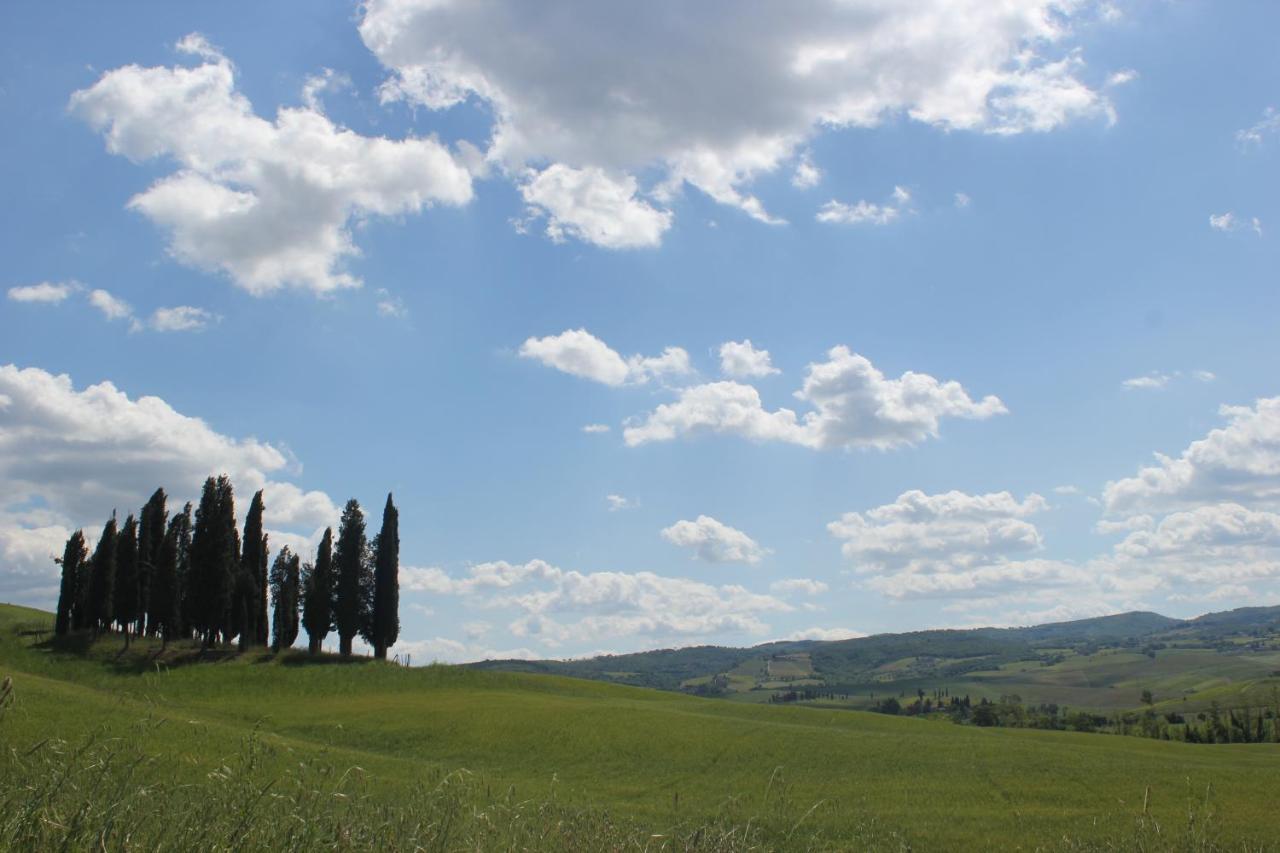 La Casina Di Nonna Lola Villa Castiglione dʼOrcia Eksteriør bilde